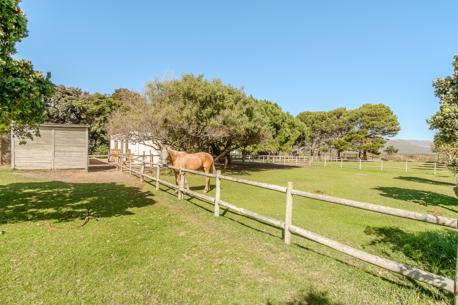 0 Bedroom Property for Sale in Chapman
